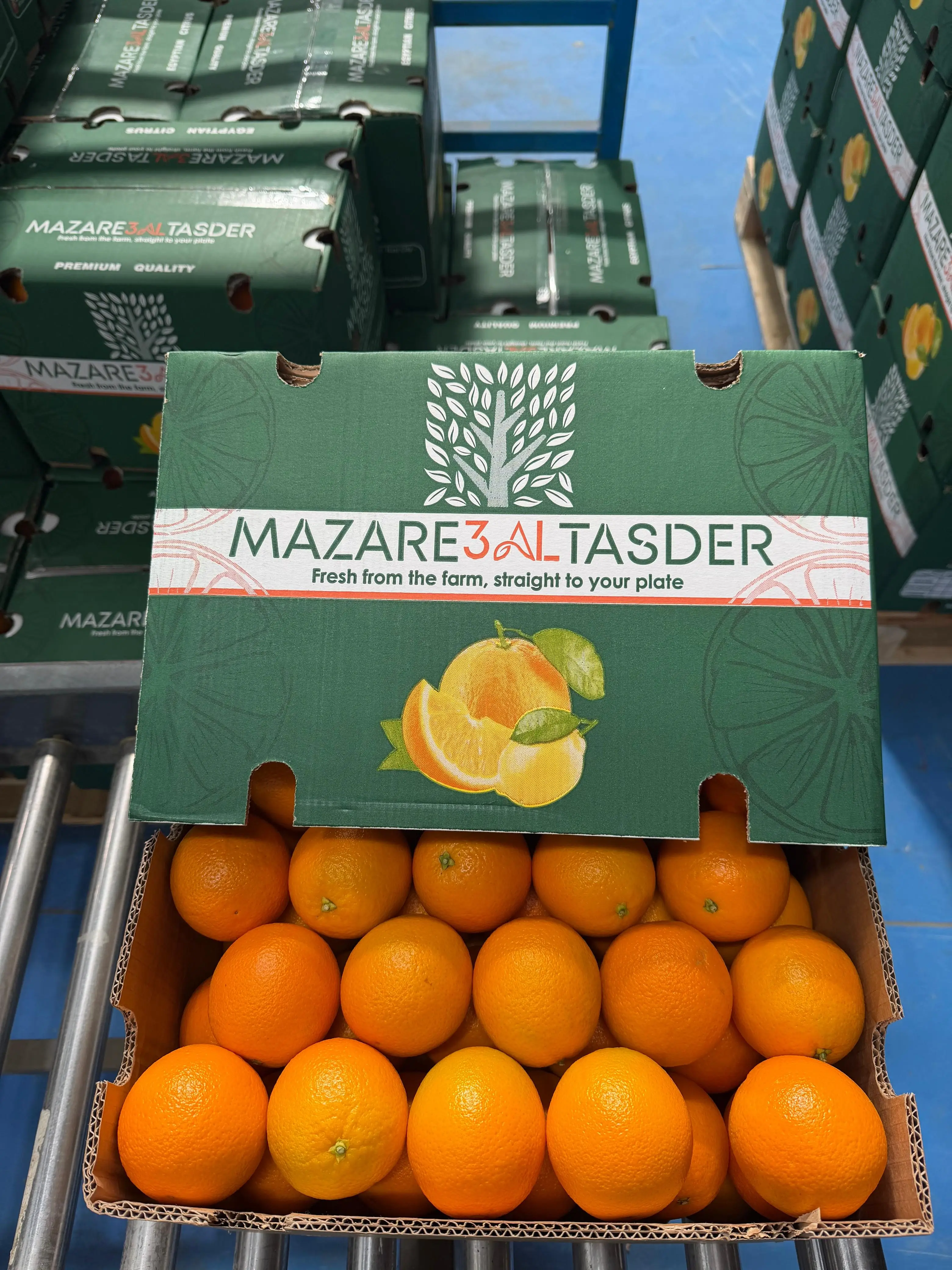 Open branded box with fresh oranges