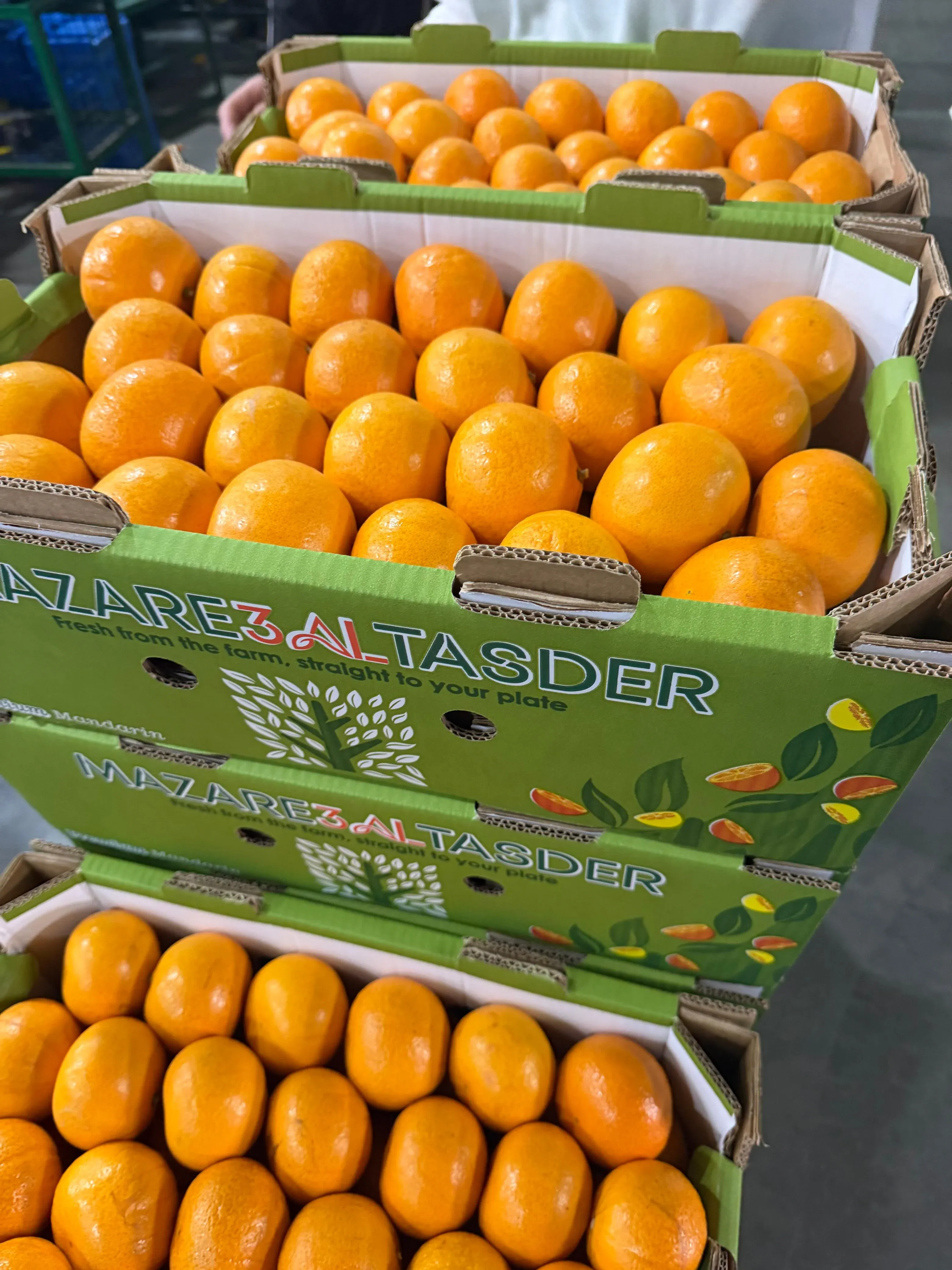 Quality inspection process